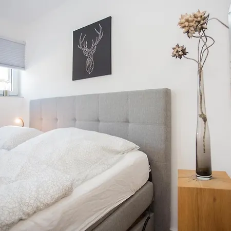 Apartment Naturliebe-aktivurlaub Und Auszeit Mit Hund Direkt An Wanderwegen Im Grünen