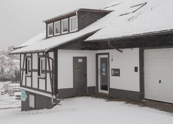Apartment Naturliebe-aktivurlaub Und Auszeit Mit Hund Direkt An Wanderwegen Im Grünen Winterberg