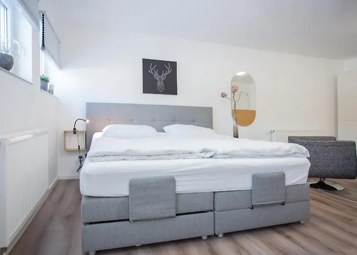 Naturliebe-aktivurlaub Und Auszeit Mit Hund Direkt An Wanderwegen Im Gruenen Βίντερμπεργκ