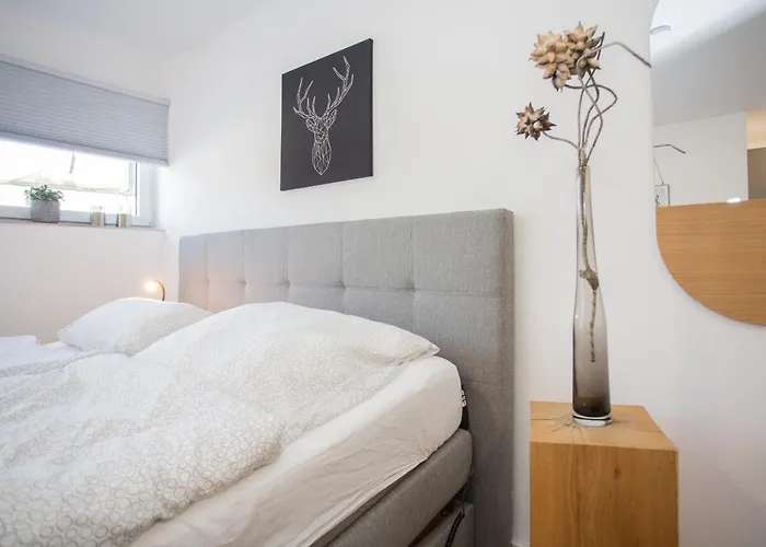 Apartment Naturliebe-aktivurlaub Und Auszeit Mit Hund Direkt An Wanderwegen Im Grünen